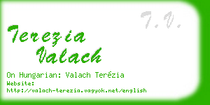 terezia valach business card